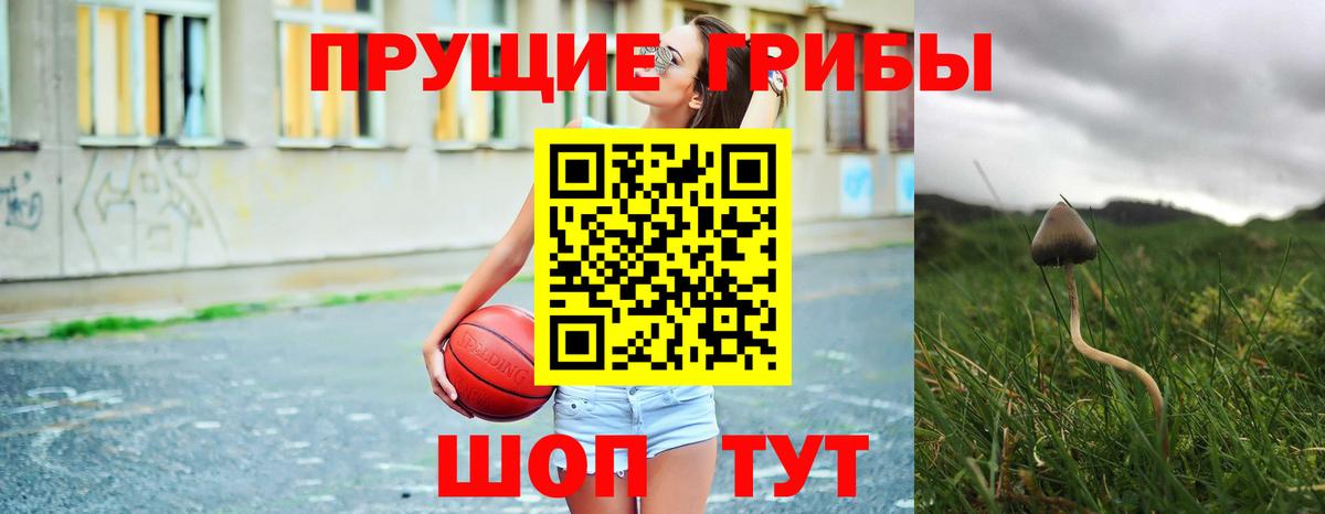 где найти наркотики  Псилоцибиновые грибы Psilocybe  Ржев  Вход с VPN  Псилоцибиновые грибы Psilocybine cubensis 